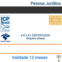 Certificado Pessoa Jurídica e-CNPJ A1 - validade 1 ano - Armazenado no Computador