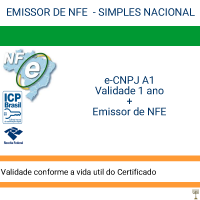 Emissor de NF-e - validade 1 ano + Certificado e-CNPJ A1